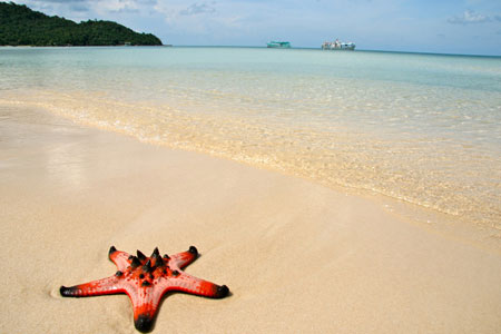Phu Quoc island without fishing ( 3 day) @ 135$